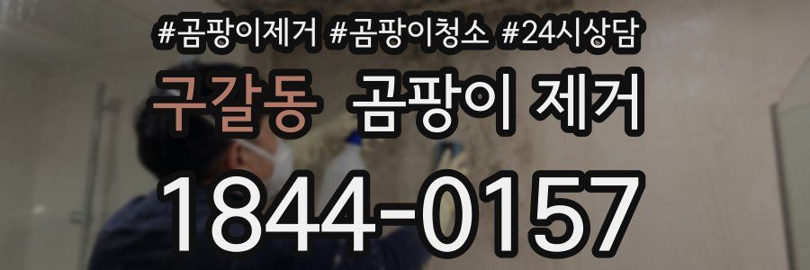 구갈동 곰팡이 제거