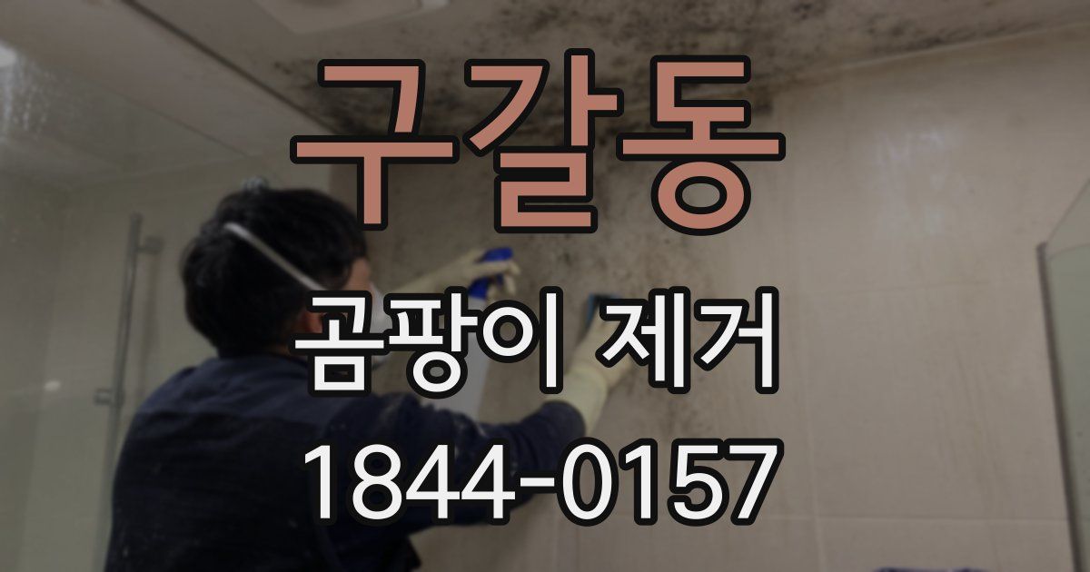 구갈동 곰팡이 제거