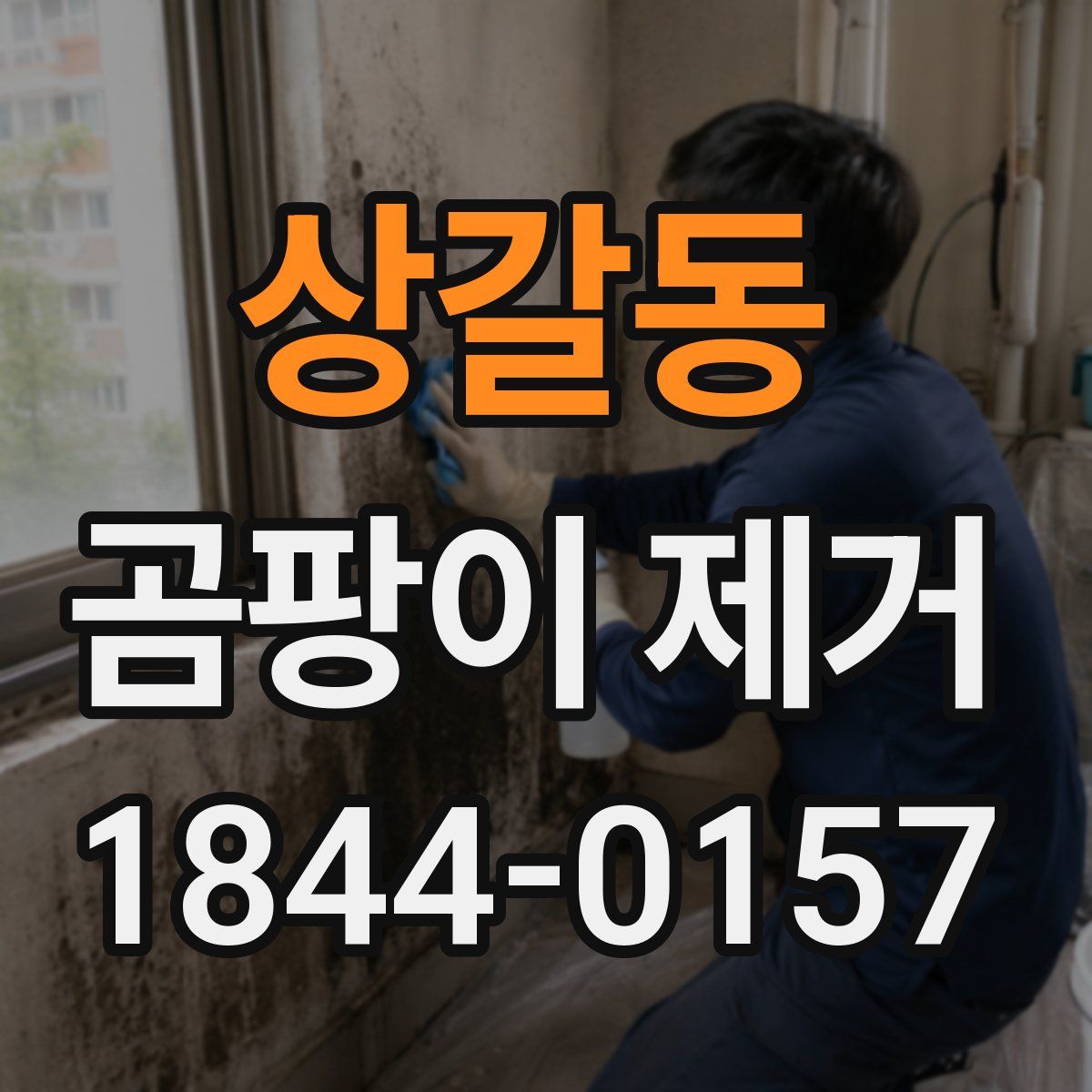 상갈동 곰팡이 제거