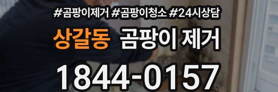 상갈동 곰팡이 제거