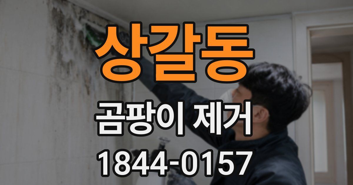 상갈동 곰팡이 제거