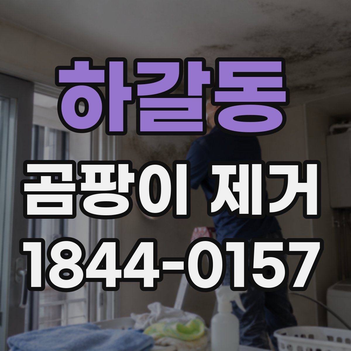 하갈동 곰팡이 제거