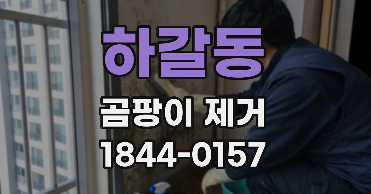하갈동 곰팡이 제거