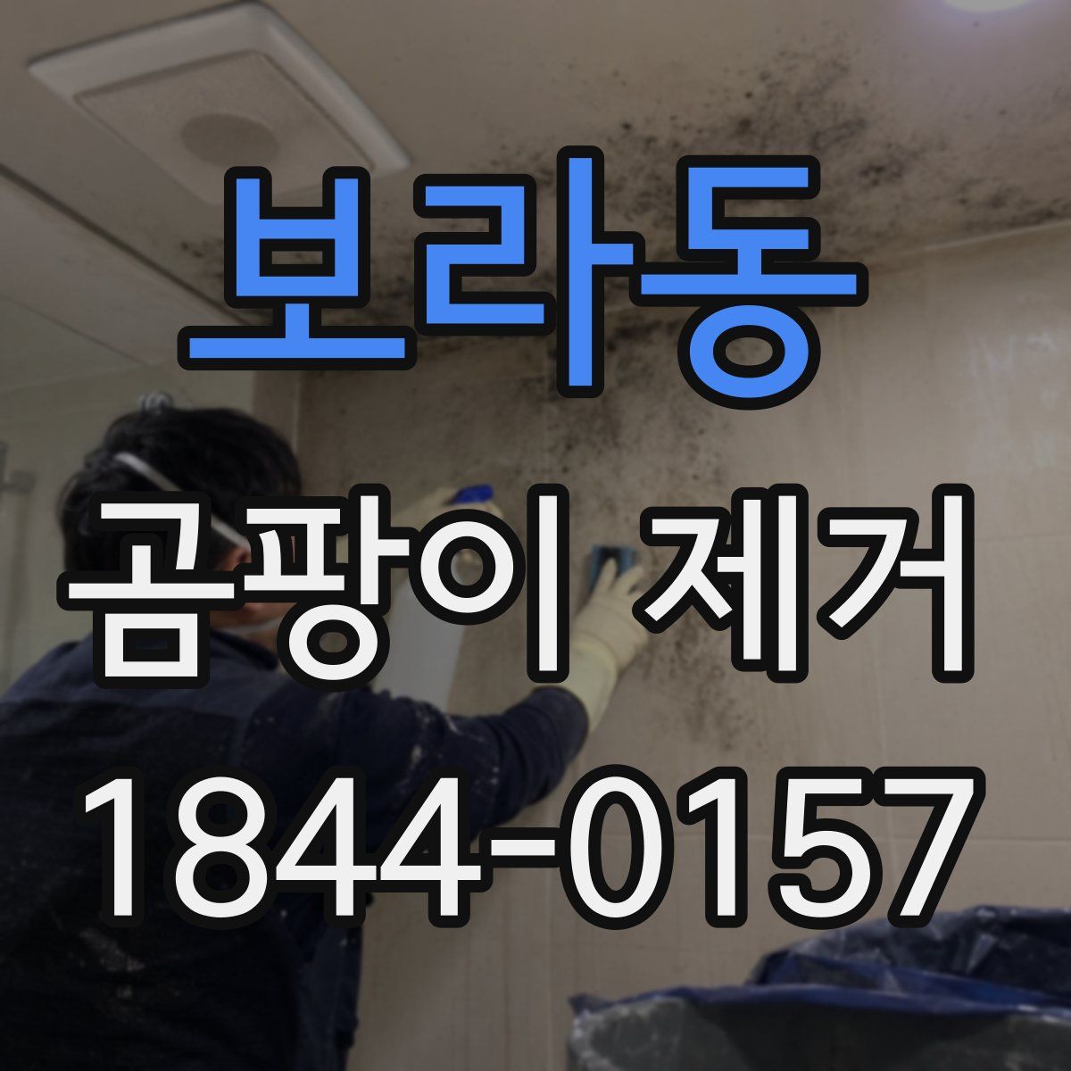 보라동 곰팡이 제거