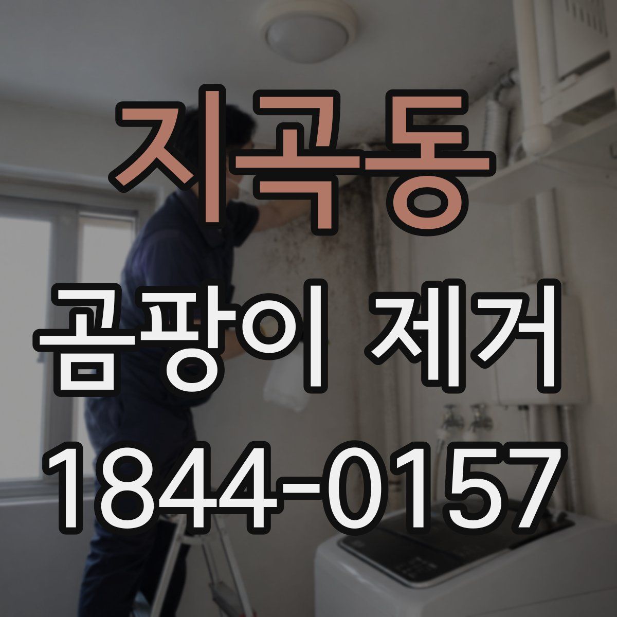 지곡동 곰팡이 제거