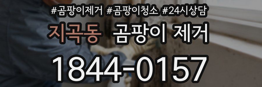 지곡동 곰팡이 제거
