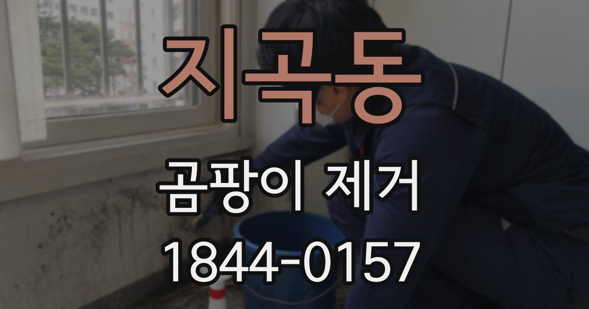 지곡동 곰팡이 제거