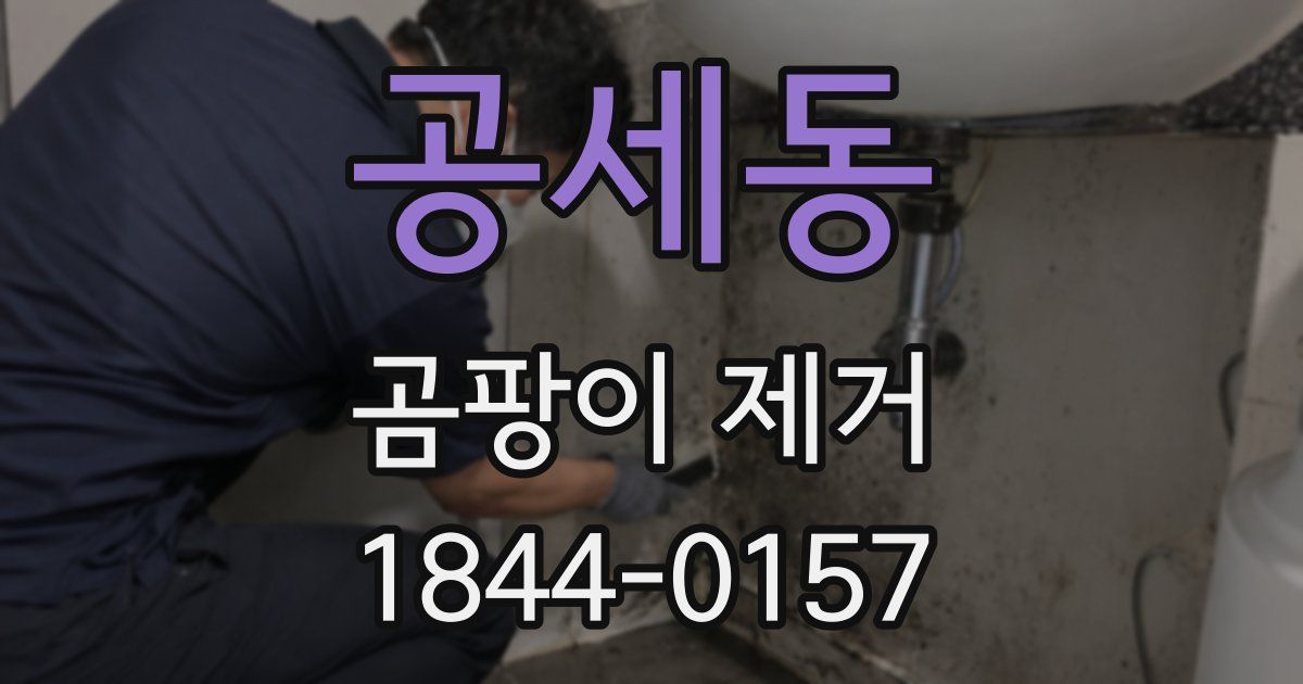 공세동 곰팡이 제거