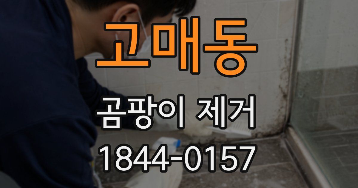 고매동 곰팡이 제거
