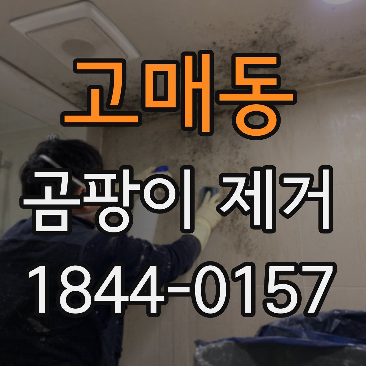 고매동 곰팡이 제거