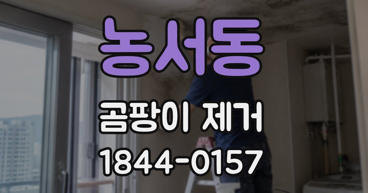 농서동 곰팡이 제거