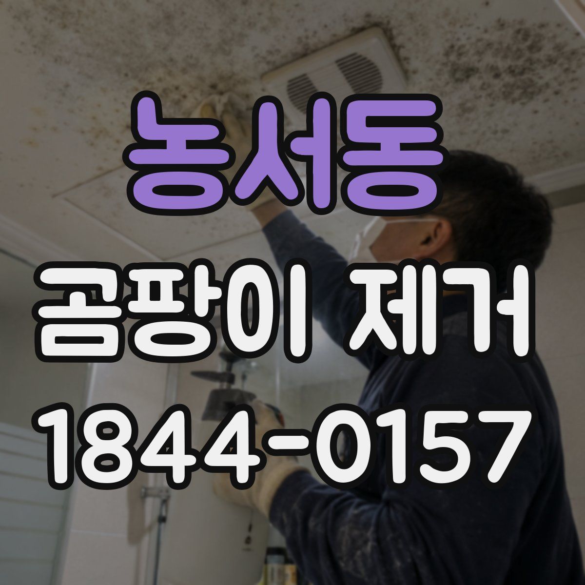 농서동 곰팡이 제거