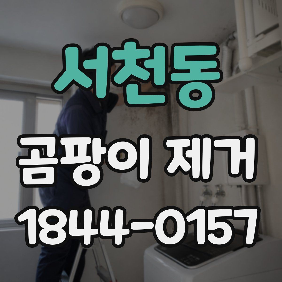서천동 곰팡이 제거 원룸 창틀과 벽지 사이 손상 줄이기