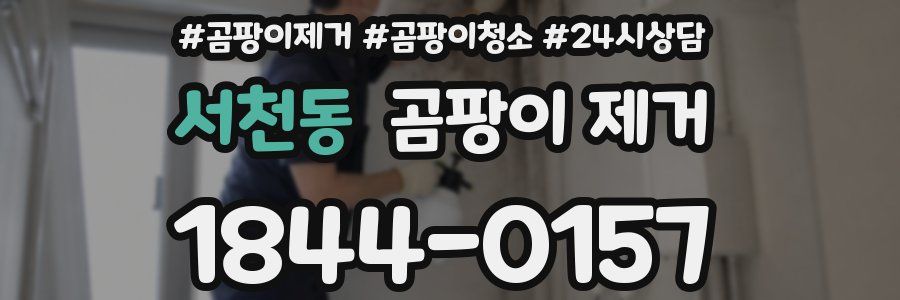 서천동 곰팡이 제거