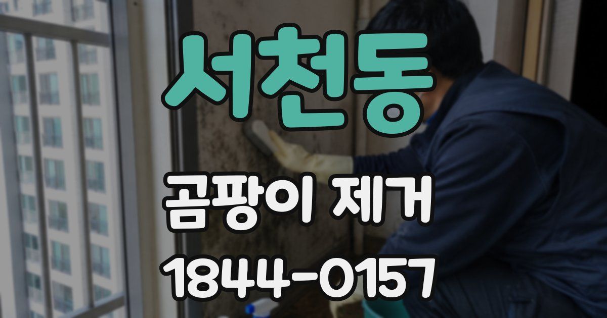 서천동 곰팡이 제거