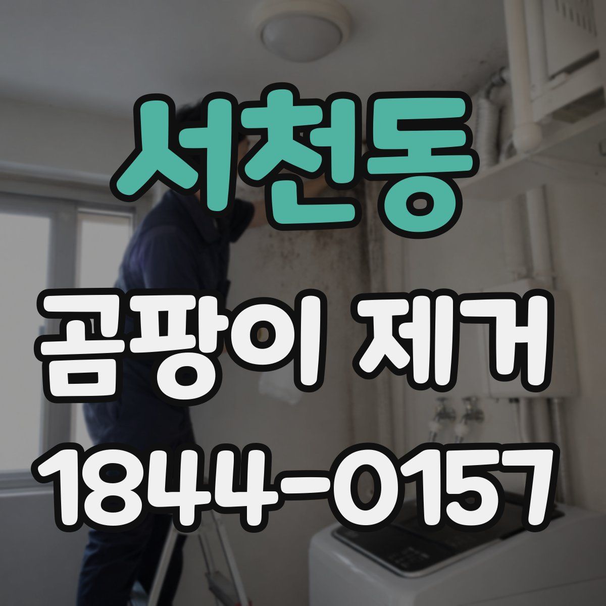 서천동 곰팡이 제거