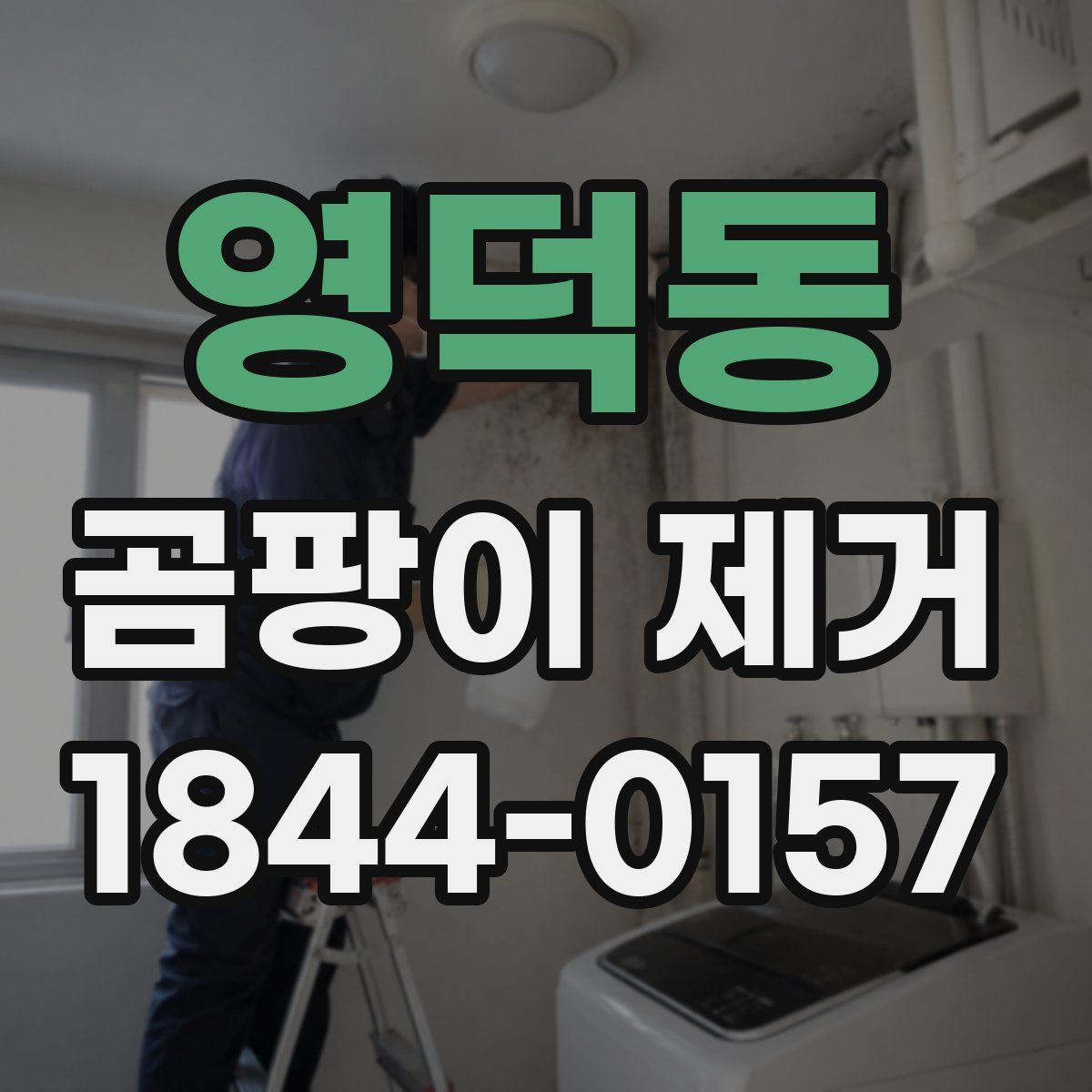 영덕동 곰팡이 제거