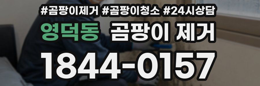 영덕동 곰팡이 제거