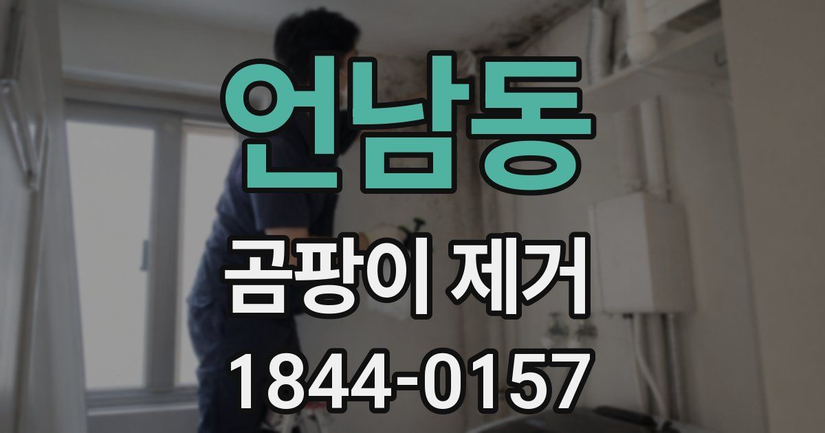 언남동 곰팡이 제거