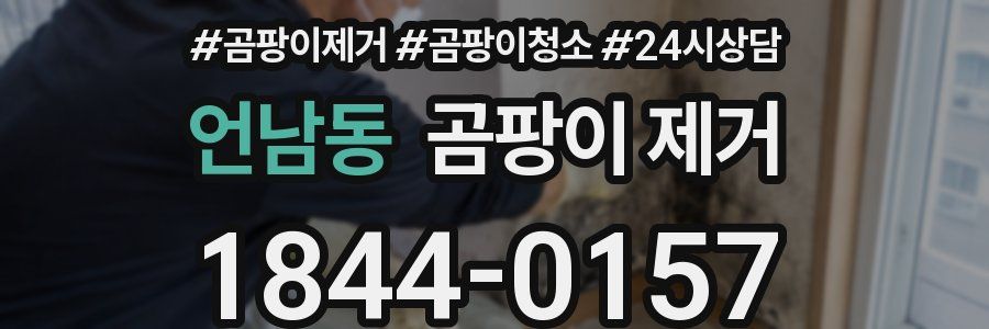 언남동 곰팡이 제거