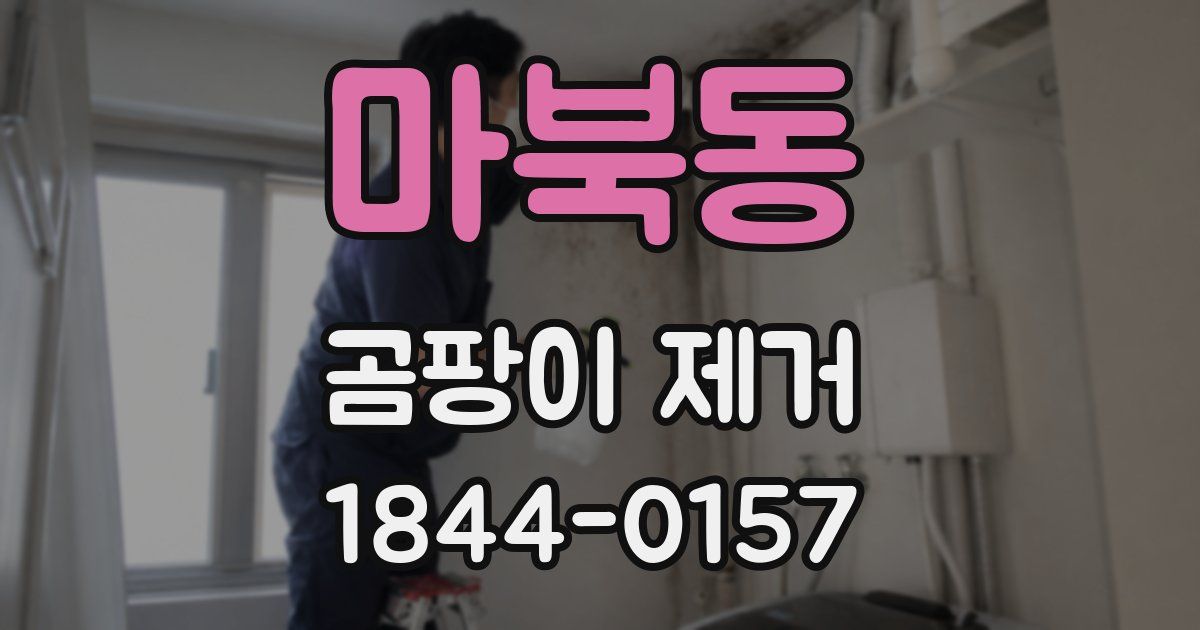 마북동 곰팡이 제거