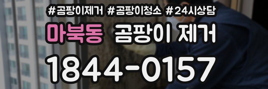 마북동 곰팡이 제거