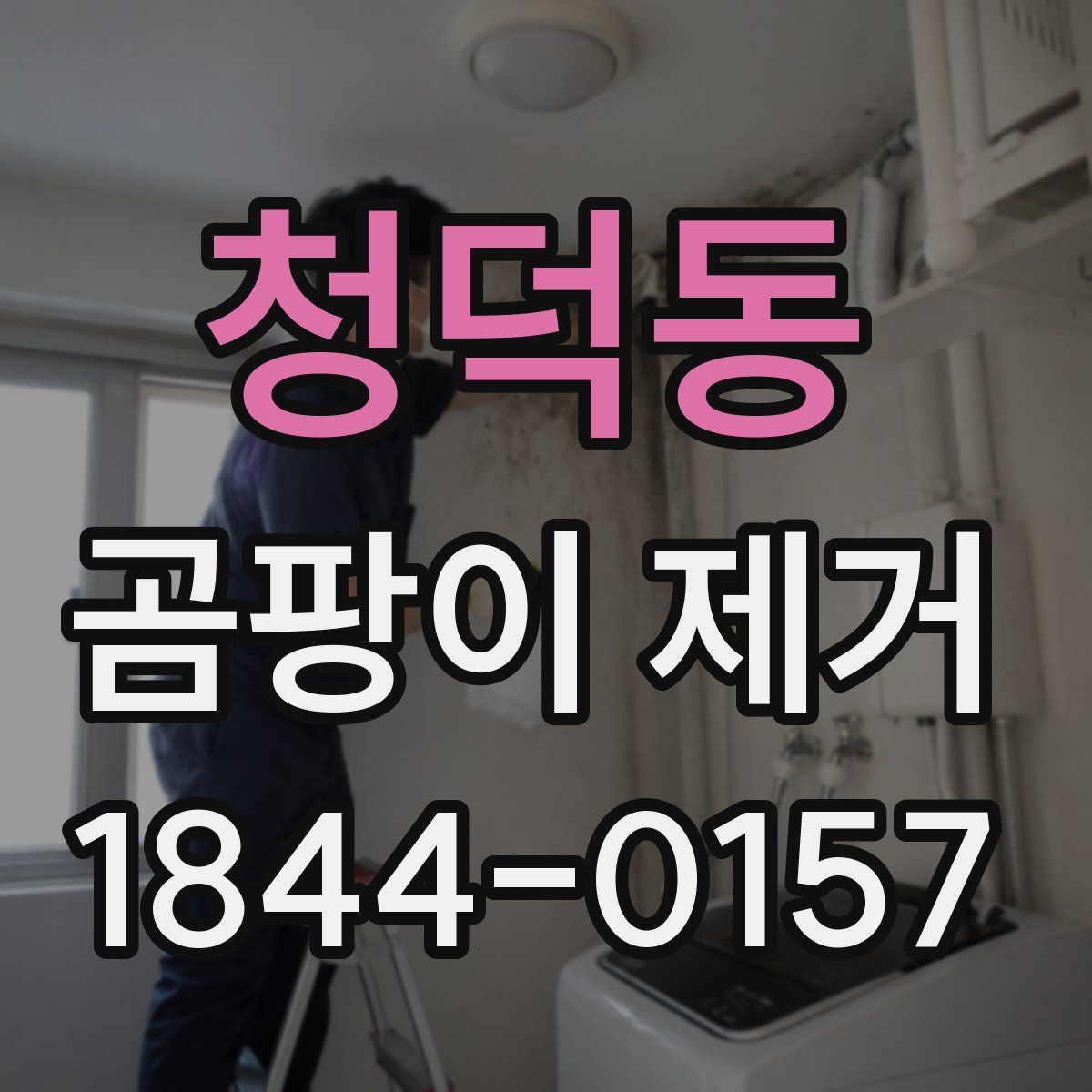 청덕동 곰팡이 제거