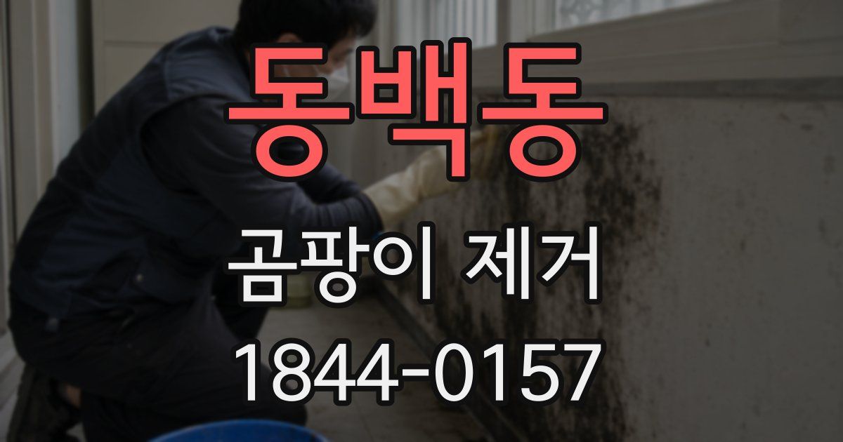 동백동 곰팡이 제거