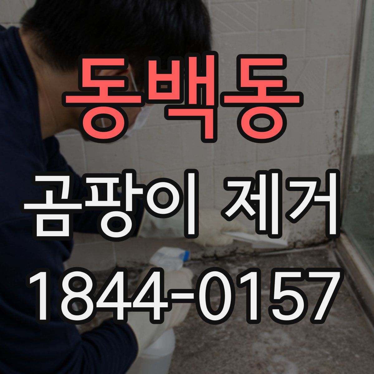 동백동 곰팡이 제거