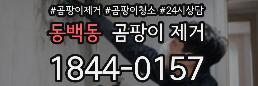 동백동 곰팡이 제거