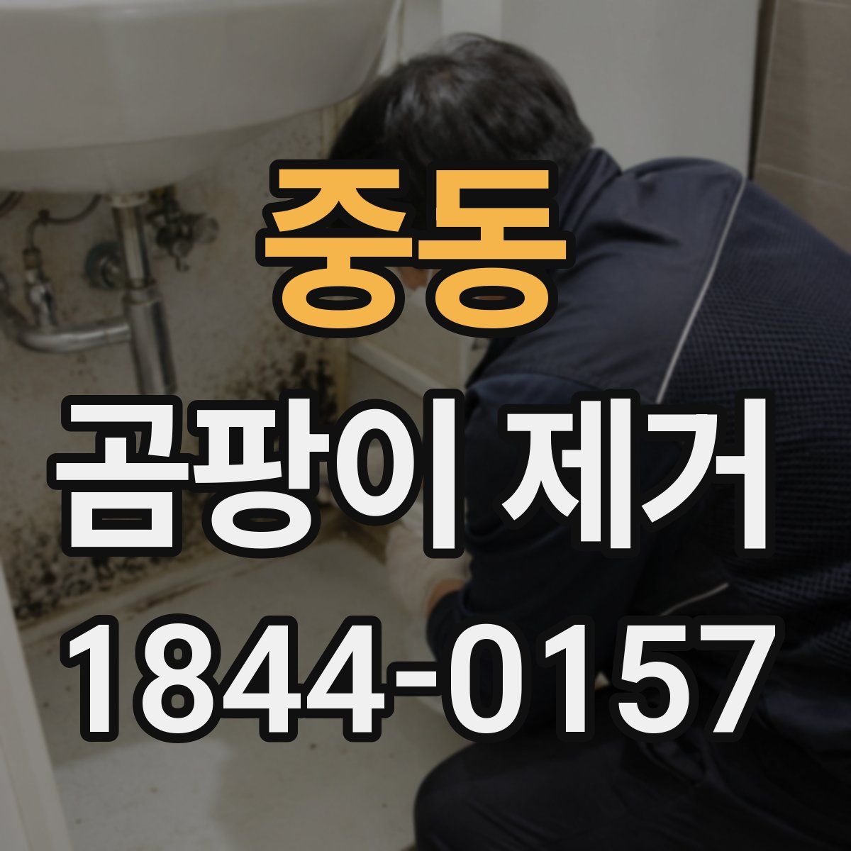 중동 곰팡이 제거