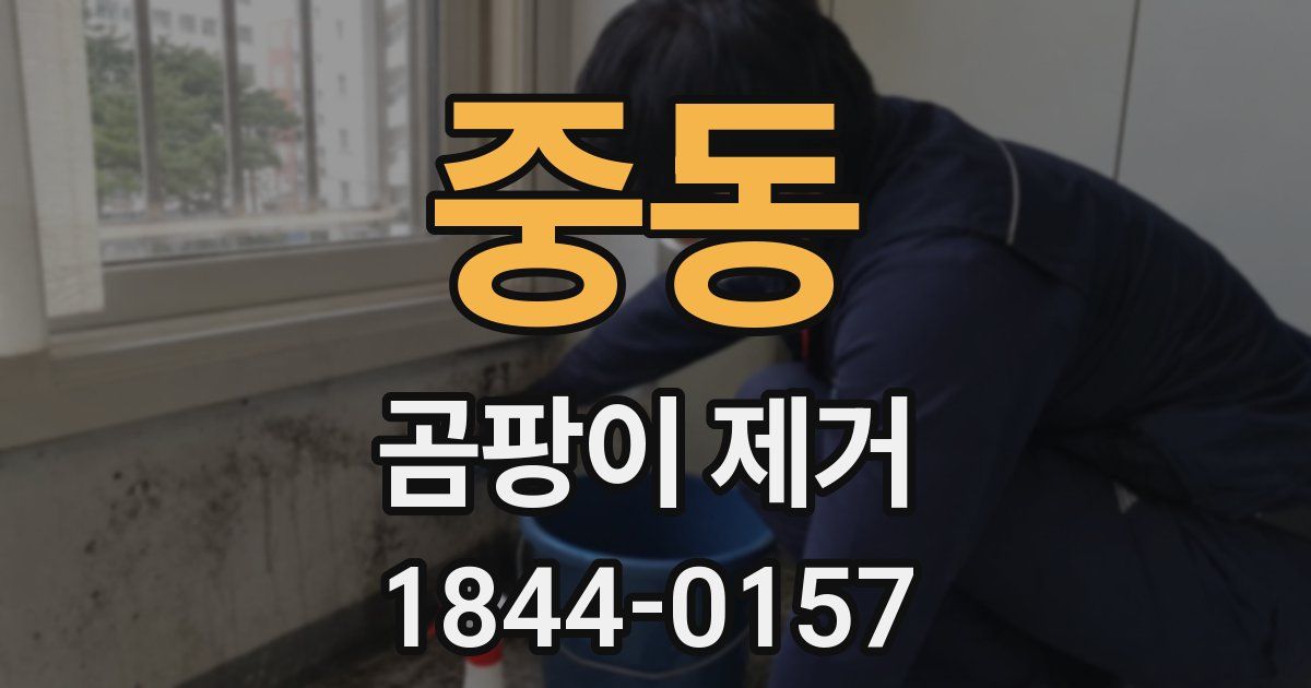 중동 곰팡이 제거