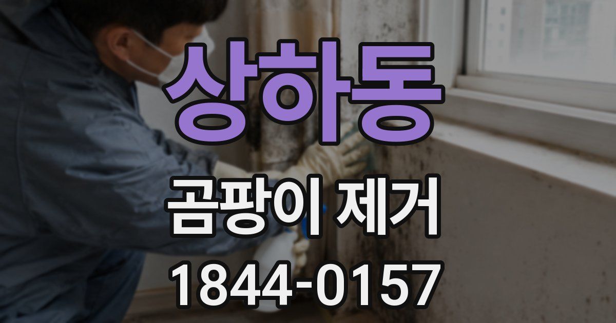 상하동 곰팡이 제거