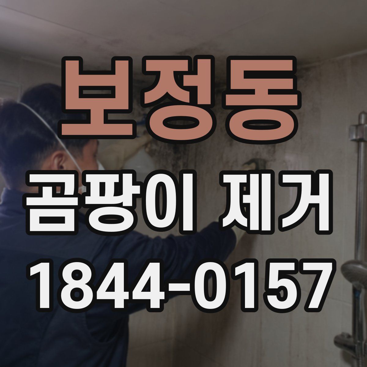 보정동 곰팡이 제거