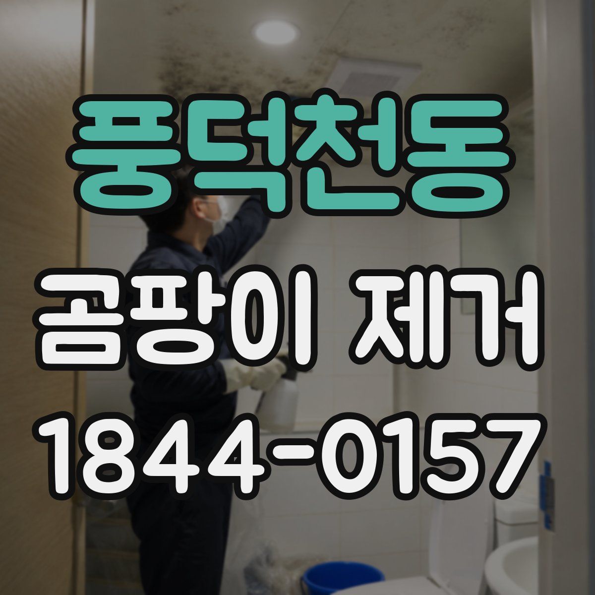 풍덕천동 곰팡이 제거