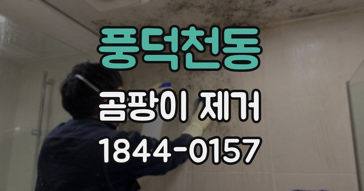 풍덕천동 곰팡이 제거