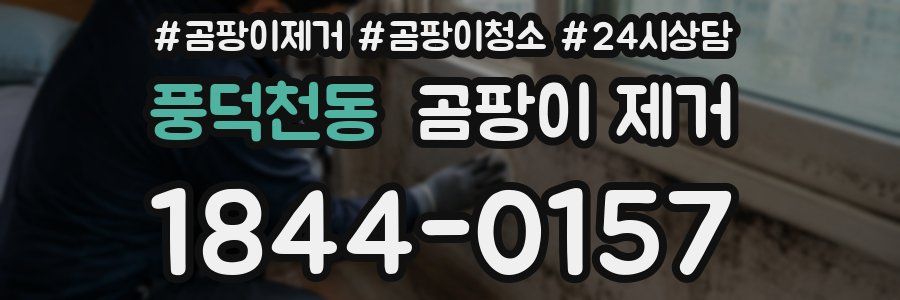 풍덕천동 곰팡이 제거