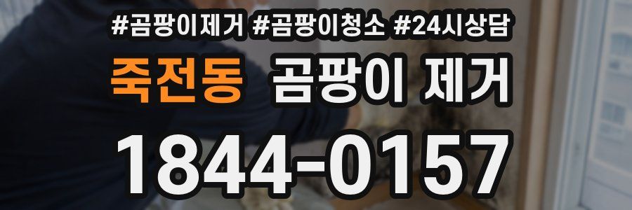 죽전동 곰팡이 제거