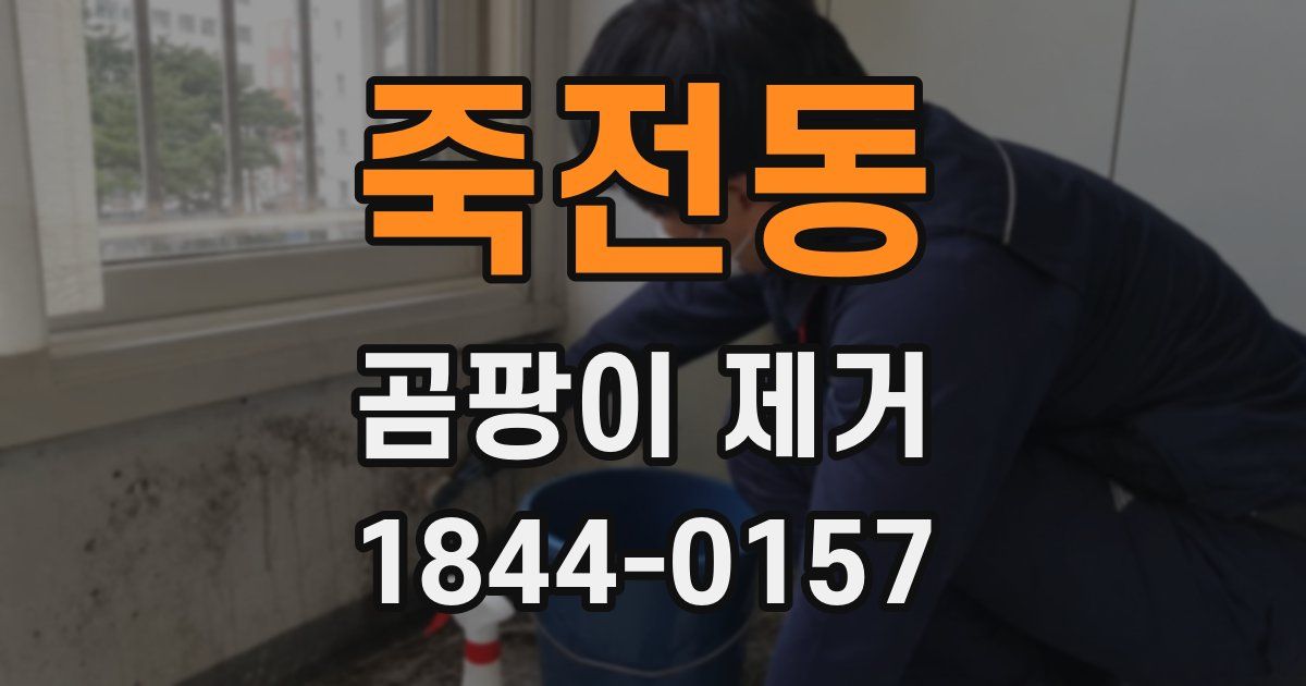 죽전동 곰팡이 제거