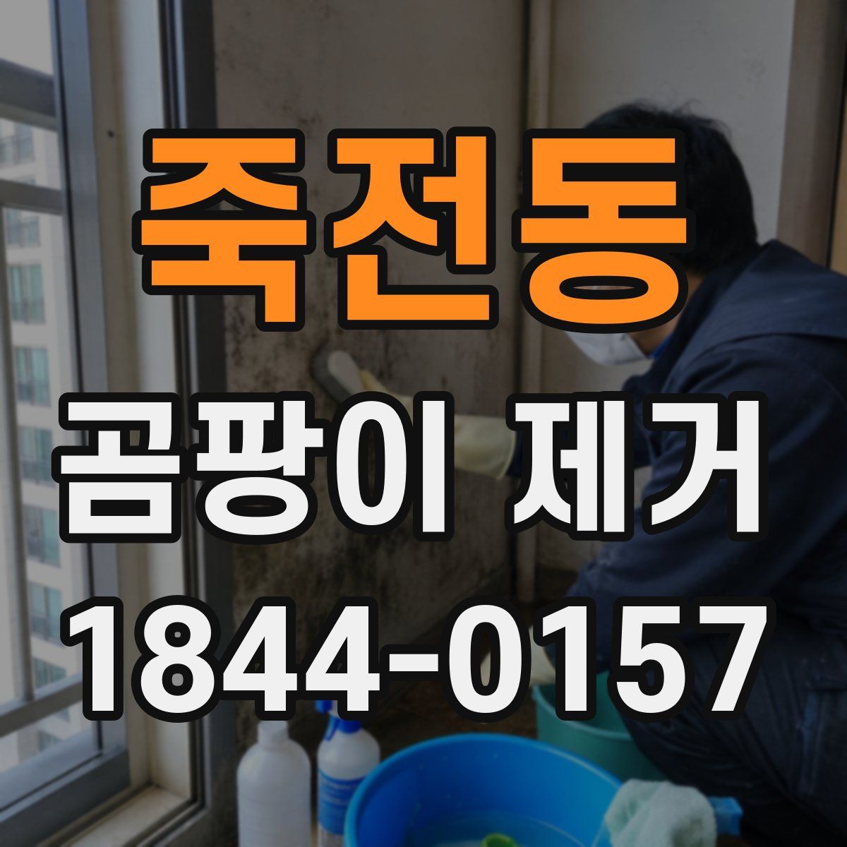 죽전동 곰팡이 제거