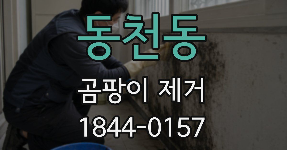 동천동 곰팡이 제거