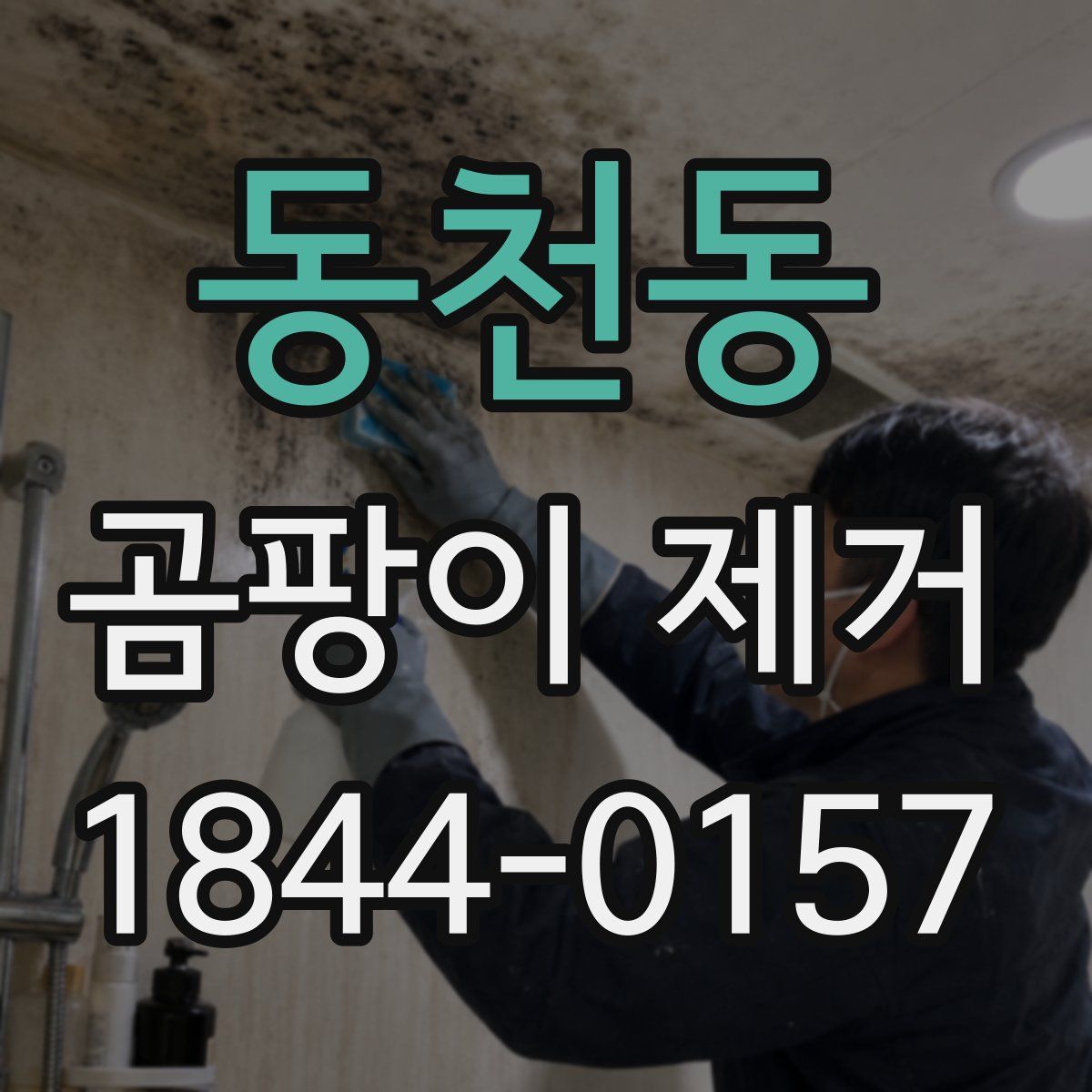 동천동 곰팡이 제거