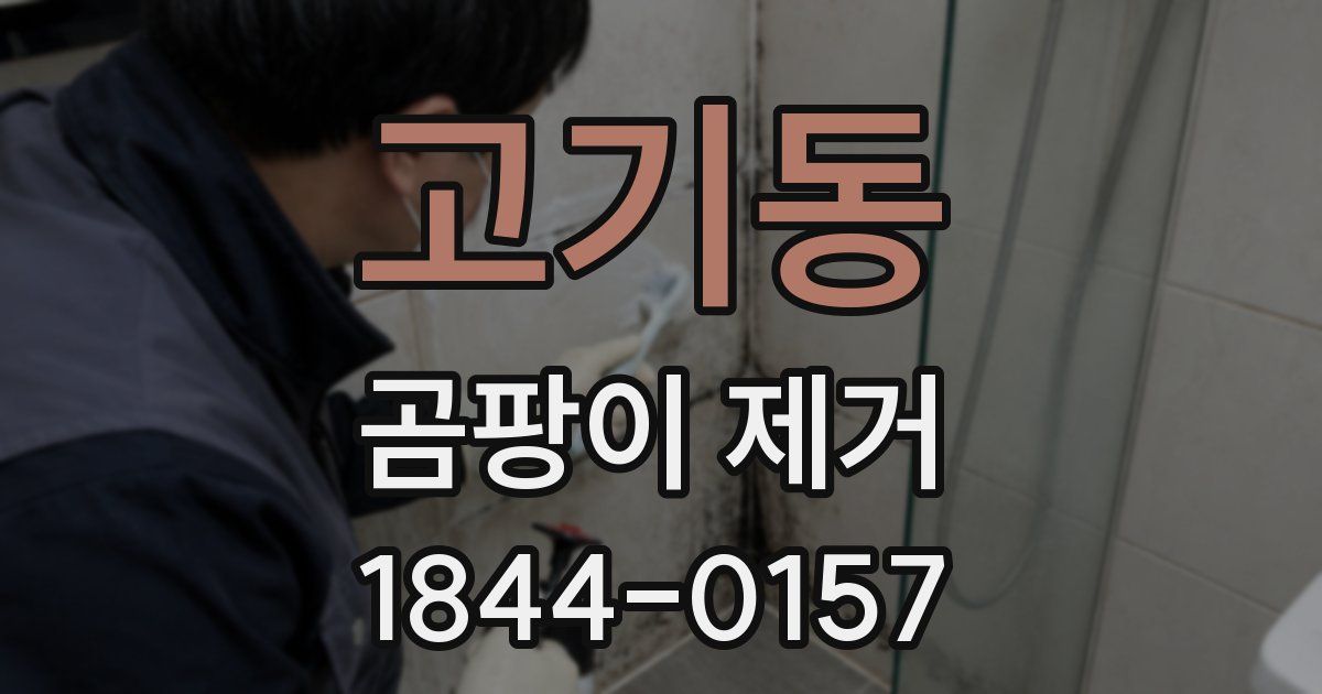 고기동 곰팡이 제거