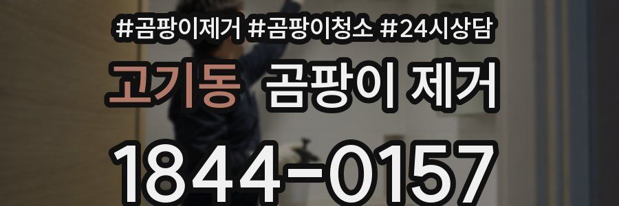 고기동 곰팡이 제거