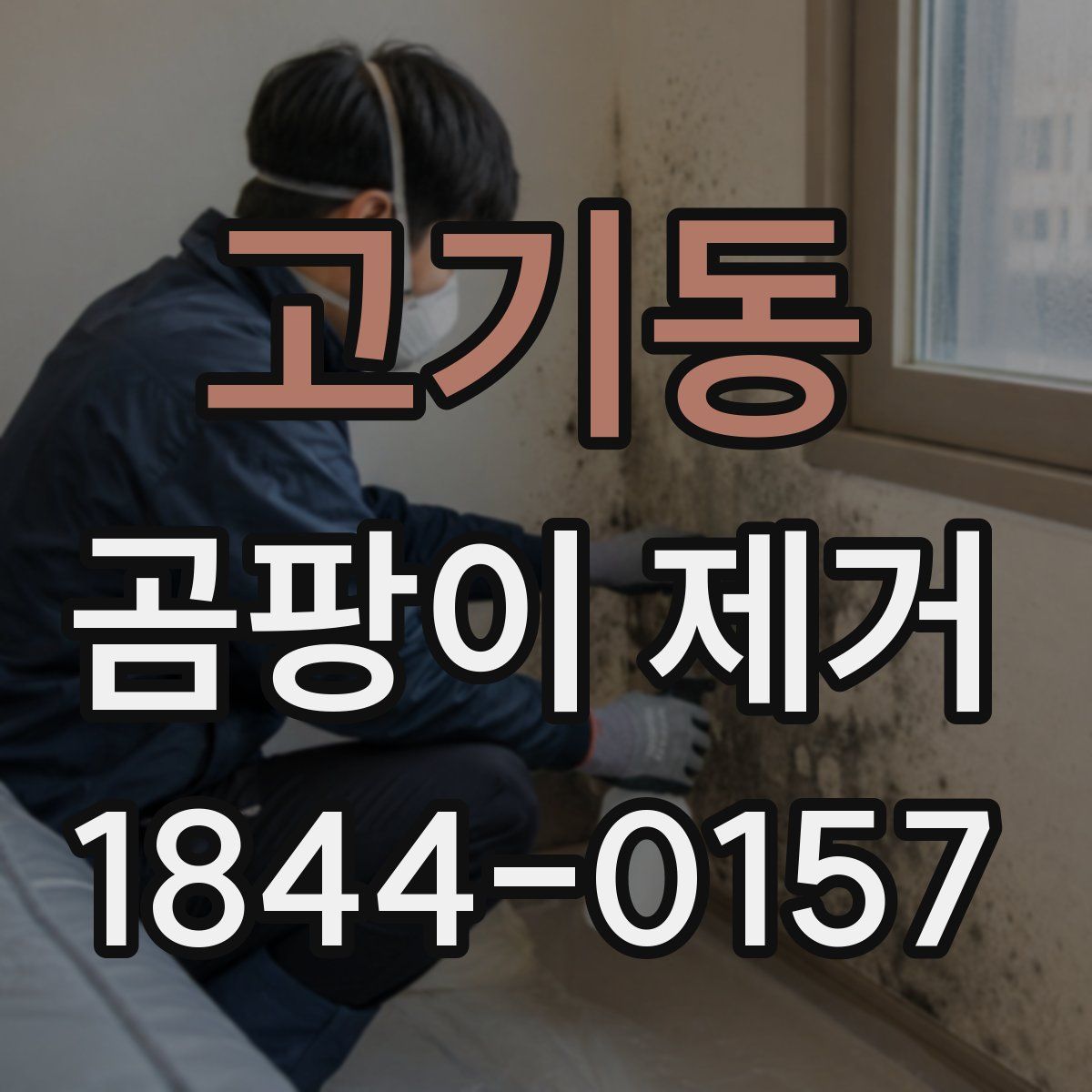 고기동 곰팡이 제거