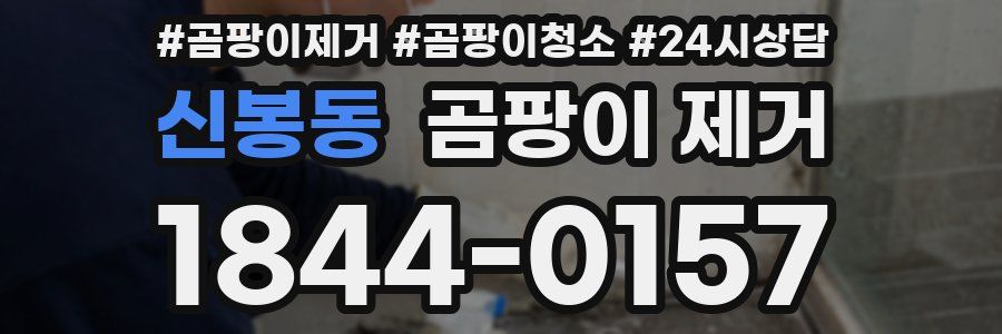 신봉동 곰팡이 제거