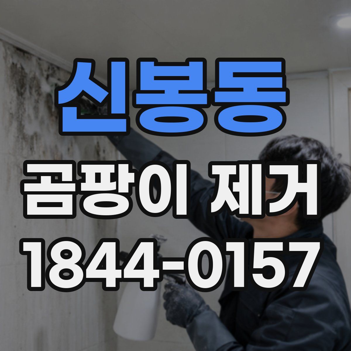 신봉동 곰팡이 제거