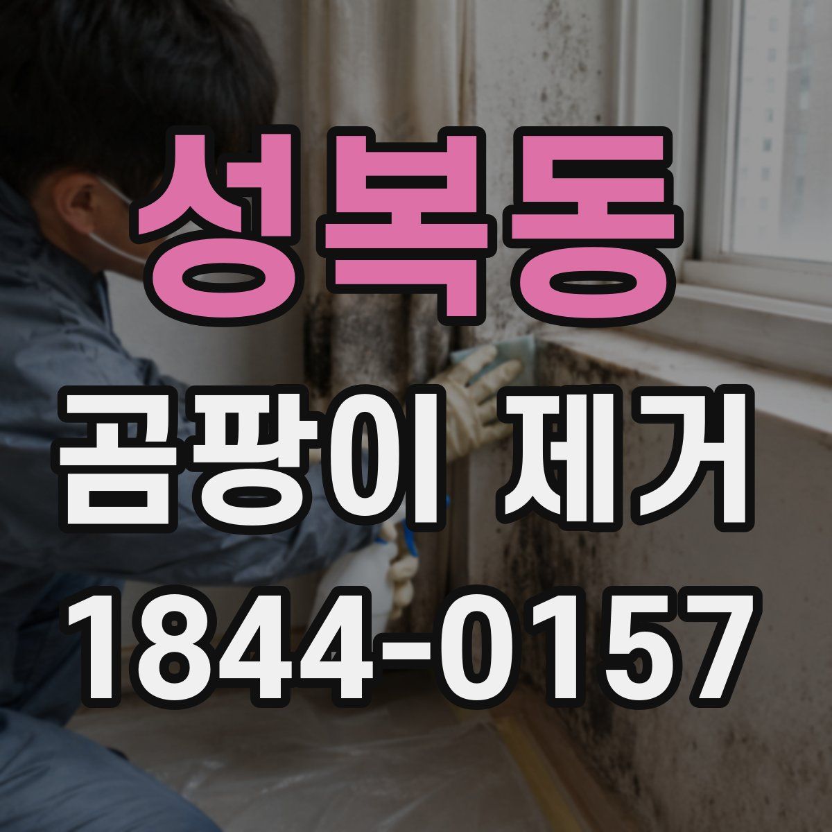 성복동 곰팡이 제거