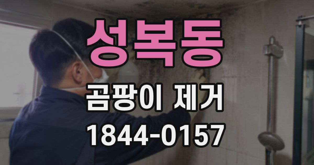 성복동 곰팡이 제거