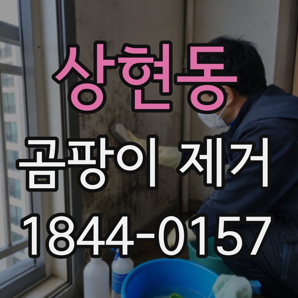 상현동 곰팡이 제거